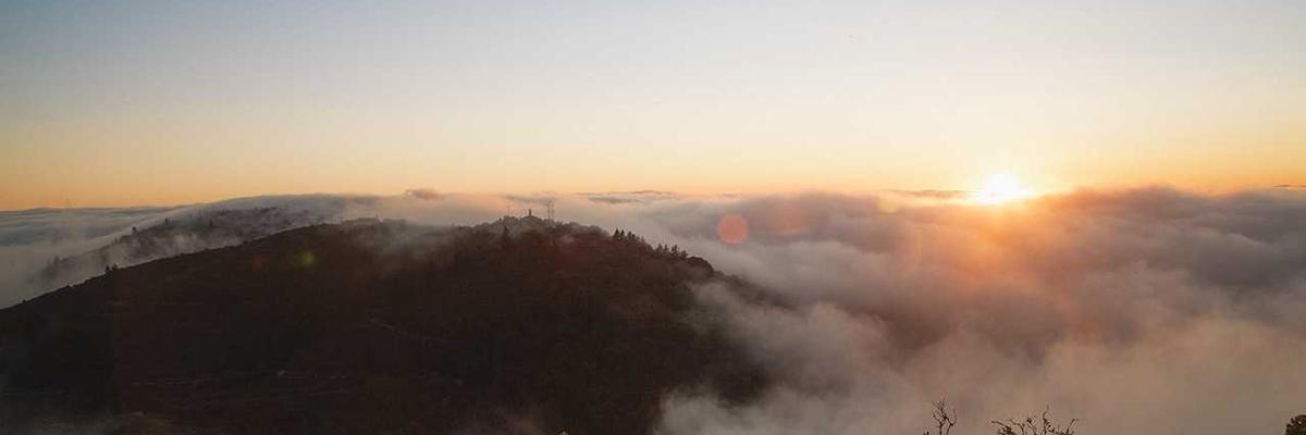 An artistic and modern image of communication tools like a vintage phone or letters.